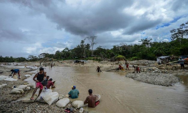 Alianza Venezolana para la Salud alerta sobre explosión de la malaria